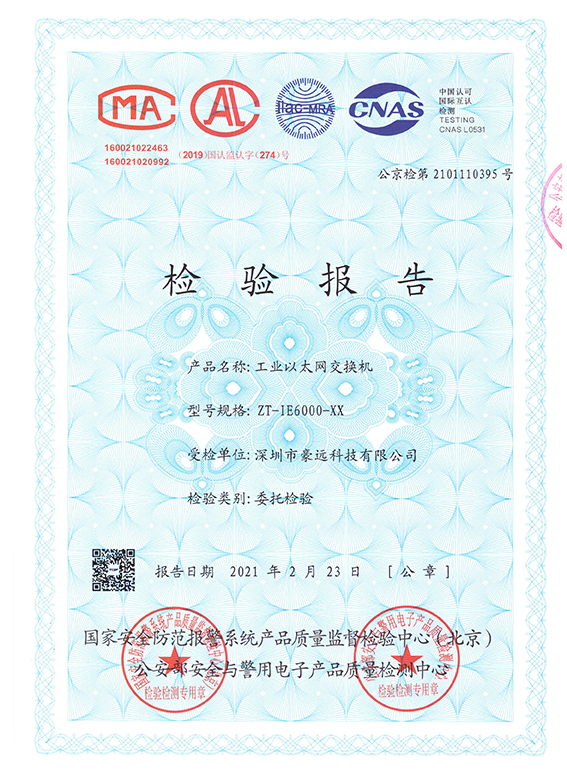 Testing Report